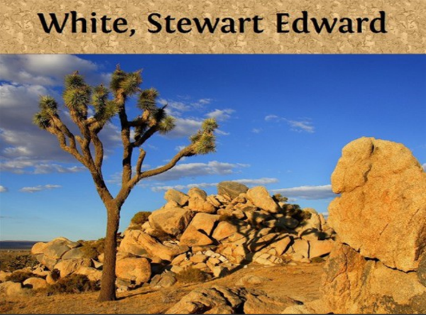 African Camp Fires (White, Steward Edwart)